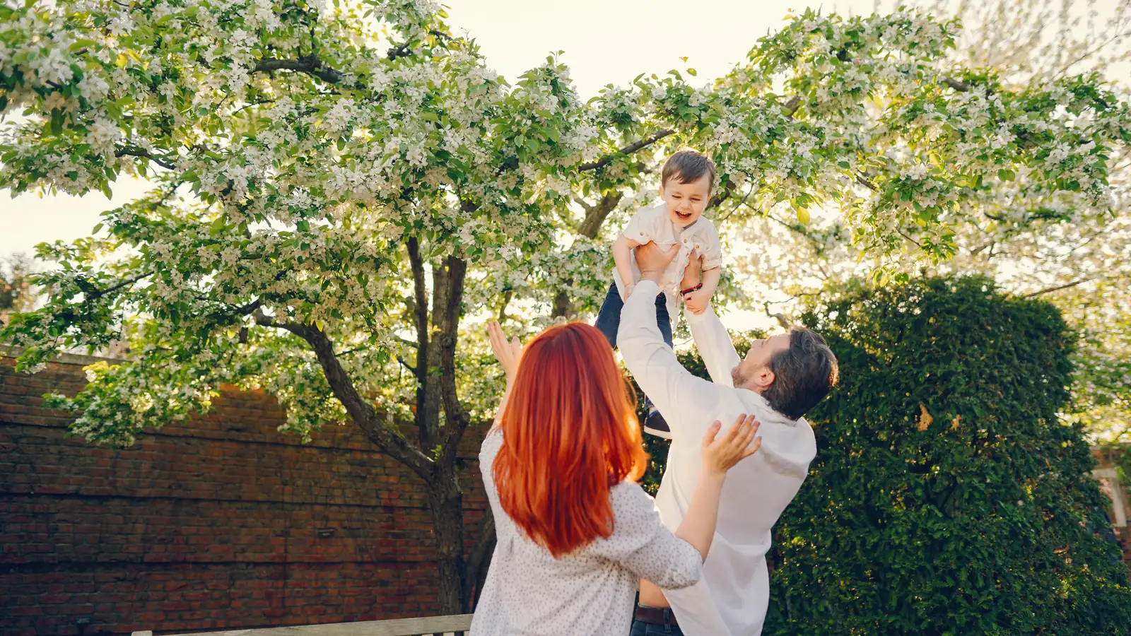 A family in a garden, one adult lifting a small child up toward a blossoming tree.